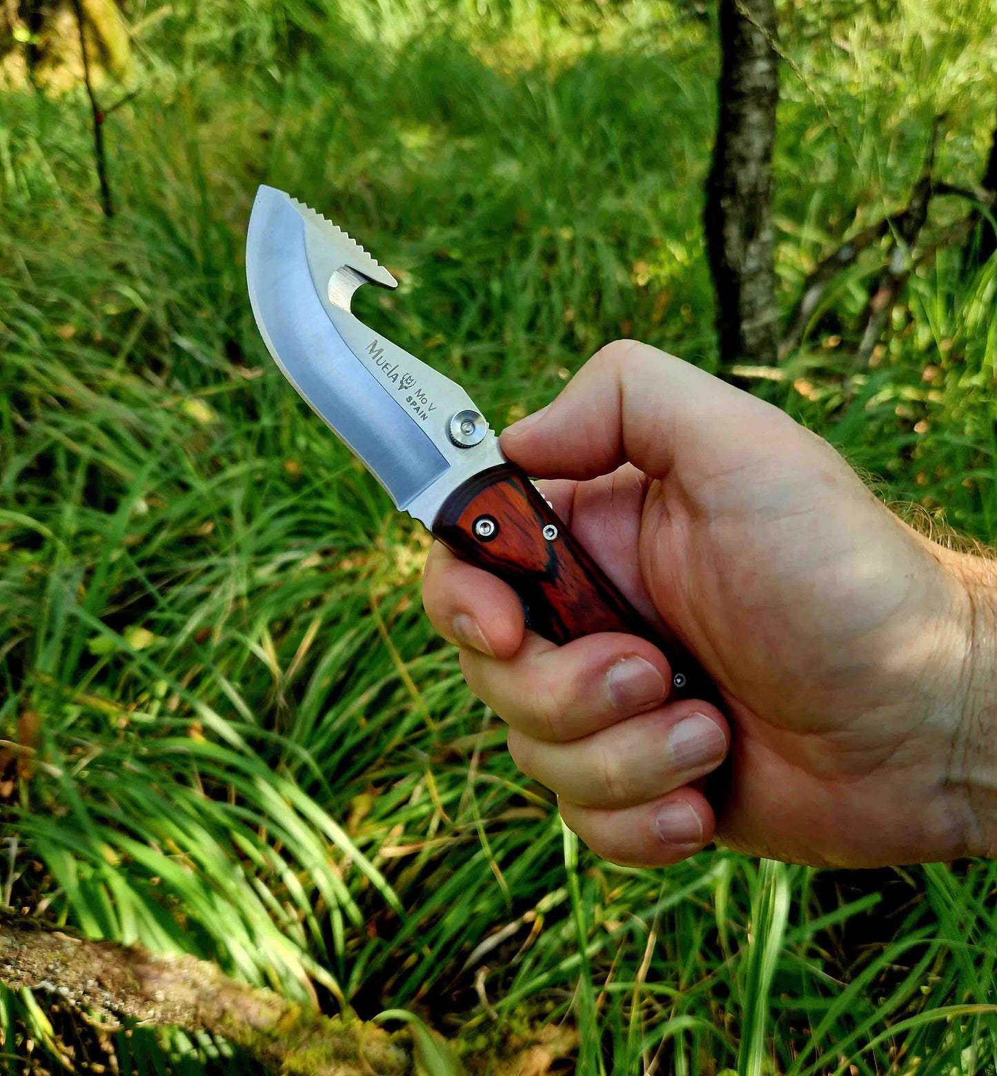 Muela SW-8R Foldekniv
