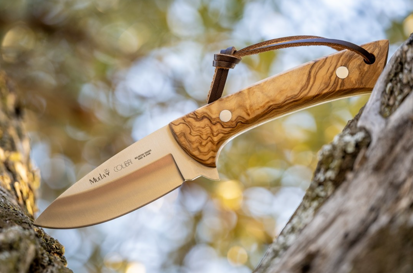 Muela Colibri COL-9.OL